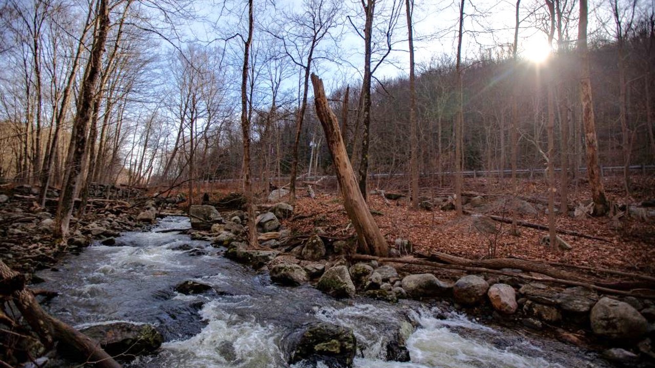 The sun pokes through the trees as the Beacon Hill Brook roars through the Three Sister Preserve in Bethany after a rainstorm. The Bethany Land Trust and Connecticut Water Company ensured 20 acres of land along Route 63 will remain protected open space in perpetuity available for the public to enjoy.   