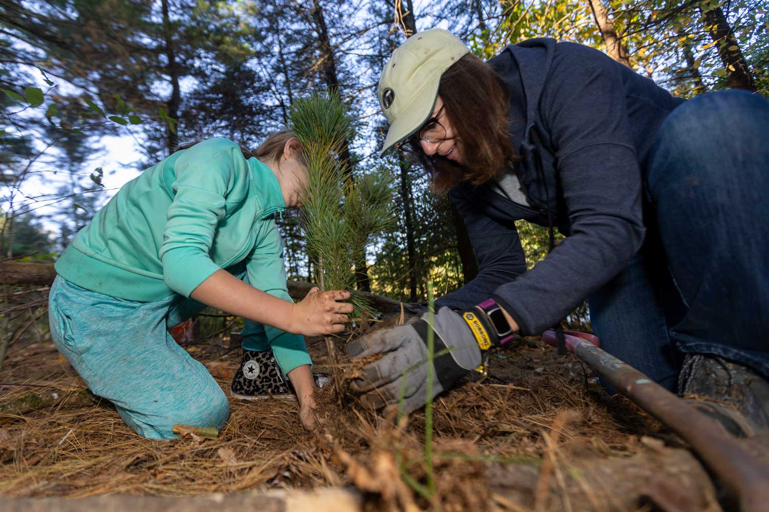 Connecticut Water employee volunteers plant trees along a reservoir in Naugatuck.