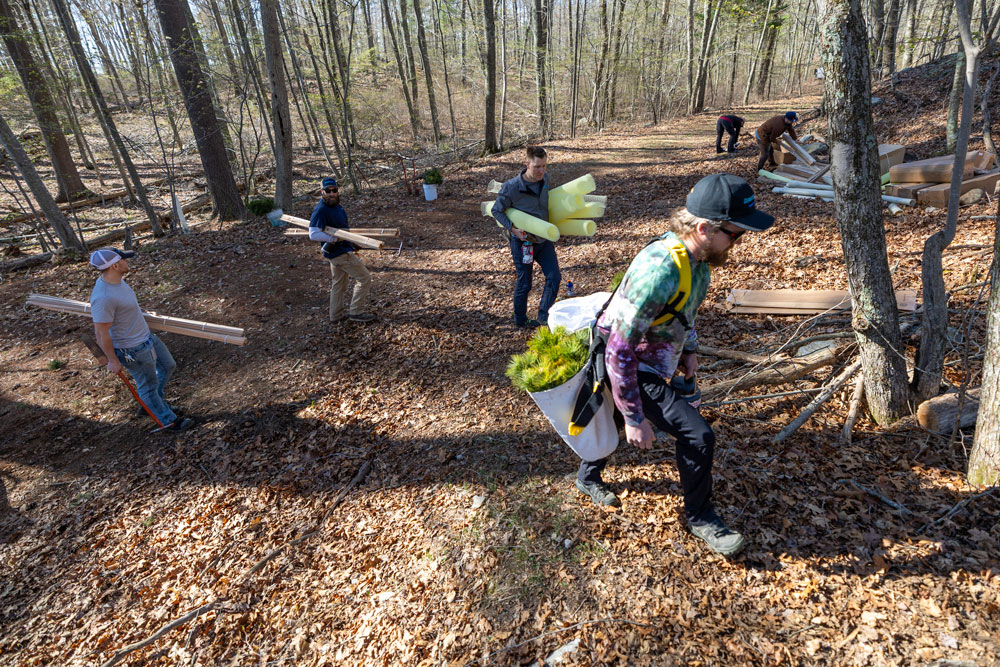 Connecticut Water employees plant trees along Killingworth Reservoir