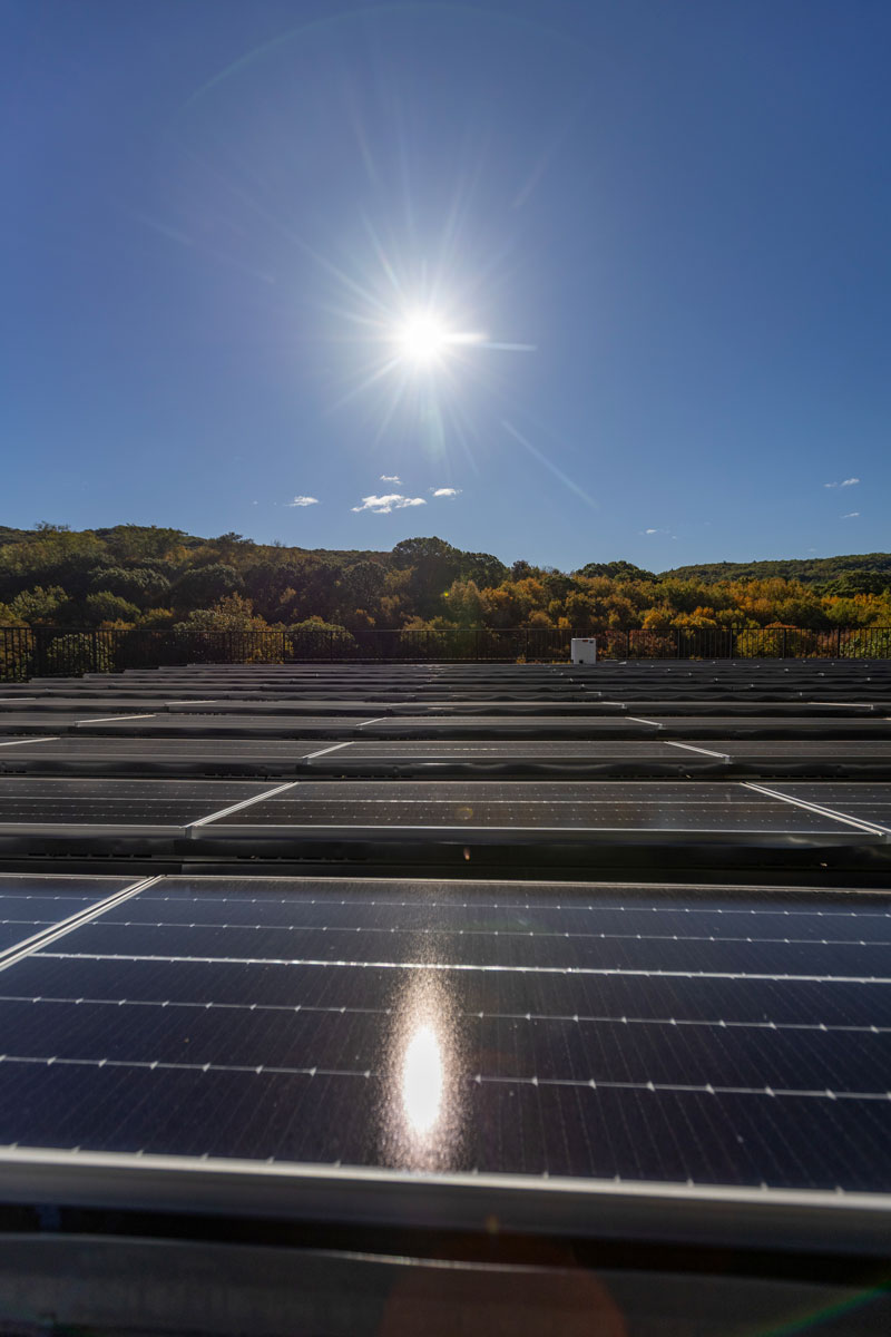 The sun shines down on a Connecticut Water solar panel in Naugatuck.