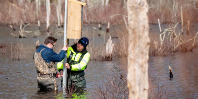 Connecticut Water employees install a wood duck nesting box in Westbrook 